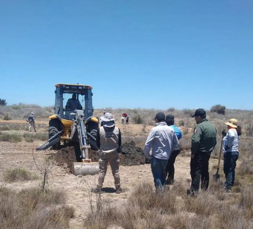 Localizan huesos en El Ranchito, Culiacán; analizan si son humanos