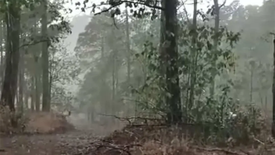 Se registra la primera lluvia de la temporada en Sinaloa
