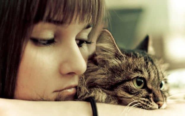 El mito detrás de las mujeres solteras y los gatos: ¿verdad o estereotipo?