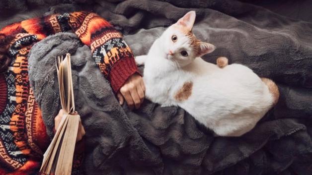 Imagen Placeholder Imagen Placeholder