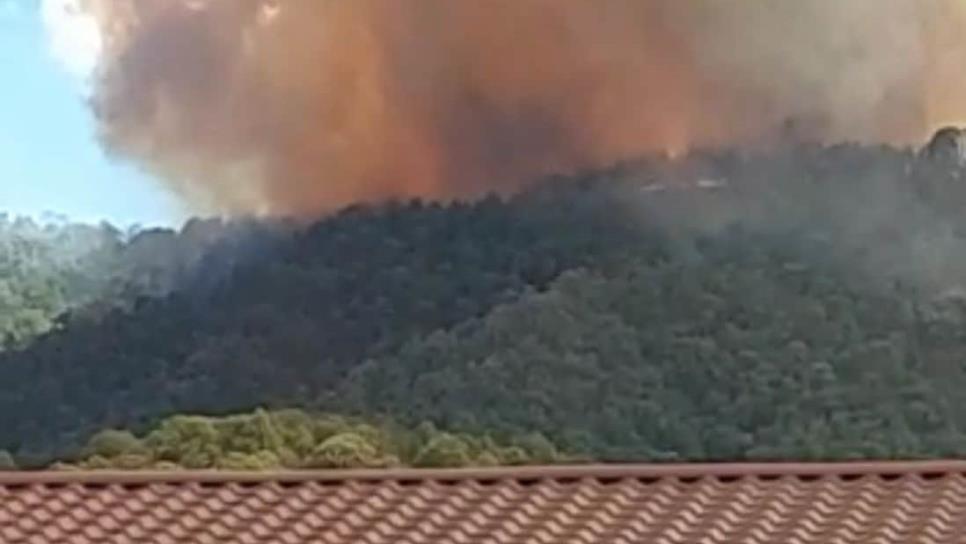 Incendio en la sierra de Surutato, Badiraguato está controlado, aseguran