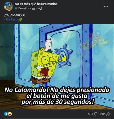 Imagen Placeholder Imagen Placeholder