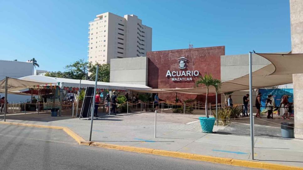 Extrabajadores del Acuario de Mazatlán no se quedarán sin trabajo: alcalde