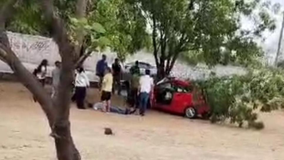 Conductor choca contra un árbol cerca de la plaza San Isidro en Culiacán