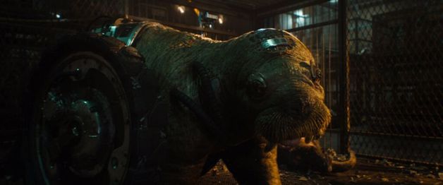 Imagen Placeholder Imagen Placeholder