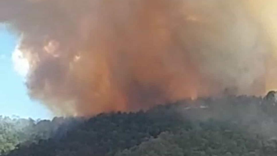 Incendio en sierra de Surutato está controlado: Protección Civil Estatal