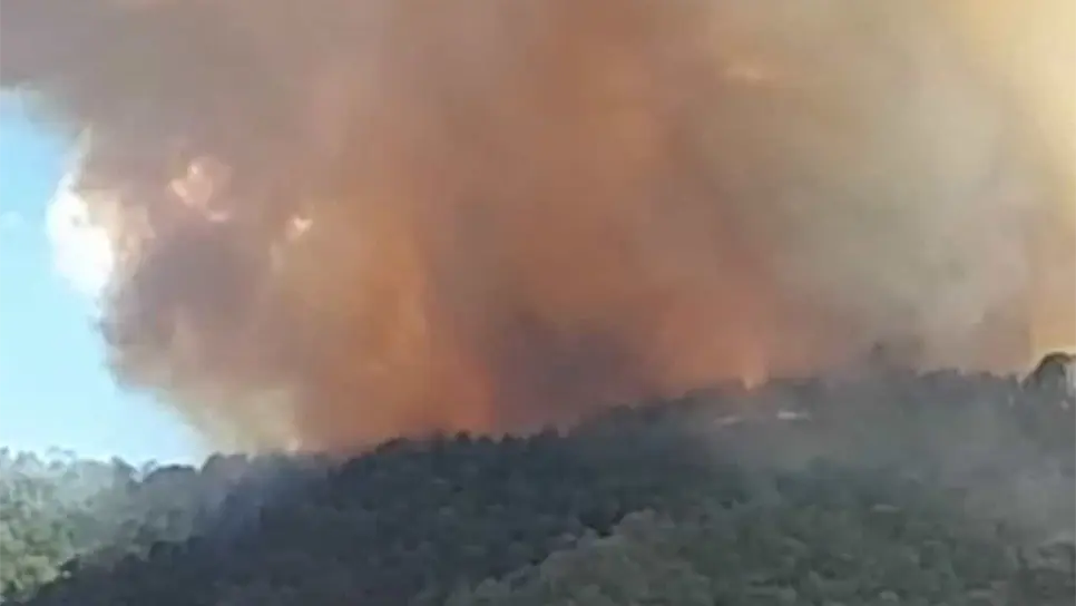 Incendio en sierra de Surutato está controlado: Protección Civil Estatal. | FOTO: Cortesía.
