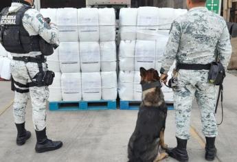 Perros entrenados de la Guardia Nacional localizan 38 kilos de droga 