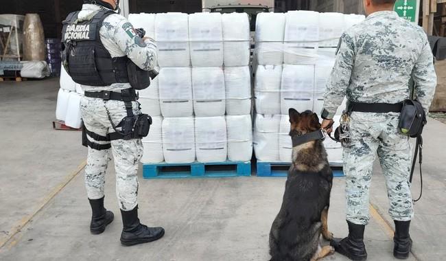 Perros entrenados de la Guardia Nacional localizan 38 kilos de droga 