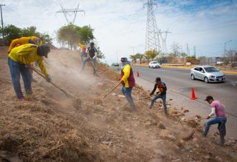 Ayuntamiento de Culiacán retira 23 toneladas de desechos de basurero clandestino