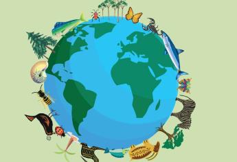 Día Internacional de la Biodiversidad: Consejos para proteger a todas las especies