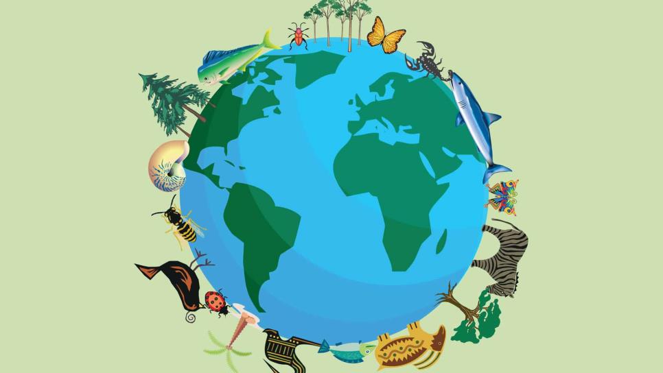 Día Internacional de la Biodiversidad: Consejos para proteger a todas las especies