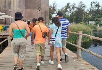 Así es la experiencia del Acuario Mar de Cortés en Mazatlán