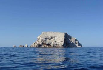 Farallón de San Ignacio: qué se puede pescar en este santuario del Golfo de California