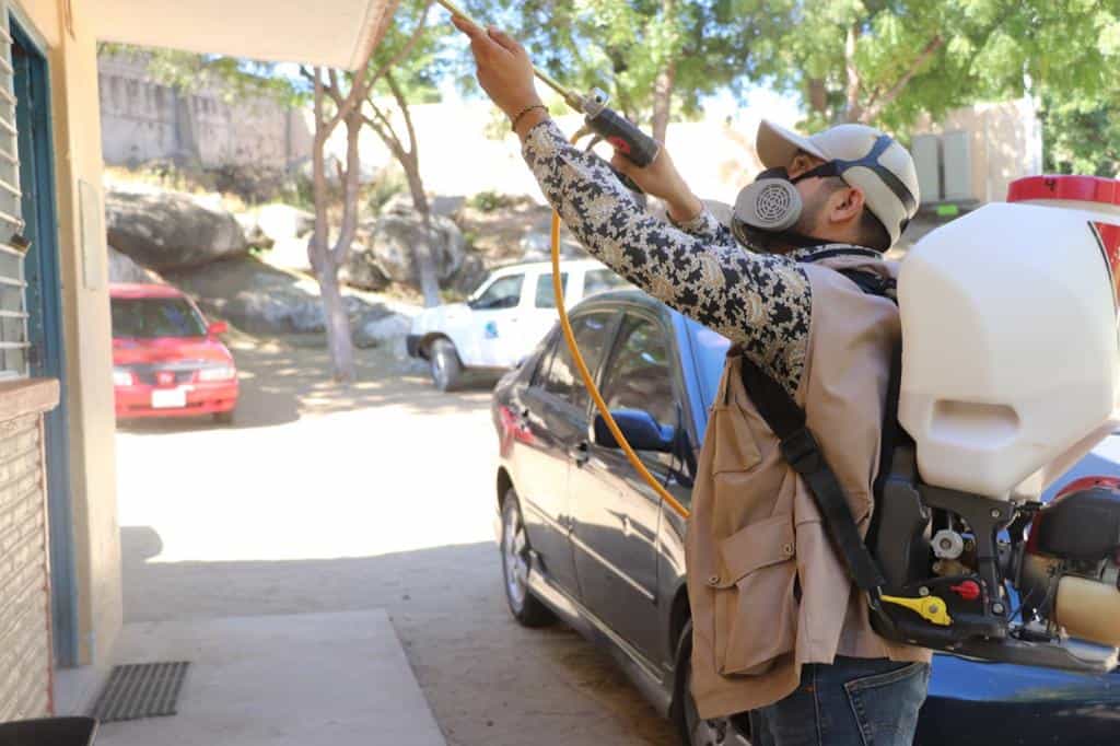 Van 54 casos de dengue detectados en Sinaloa