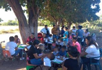 Hay recursos pero no terreno; niños indígenas estudian bajo los árboles en Goros, Ahome