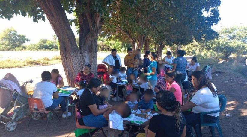 Hay recursos pero no terreno; niños indígenas estudian bajo los árboles en Goros, Ahome