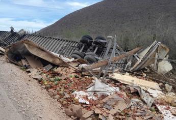 Rapiñan sandías tras volcar tráiler cargado en Tosalibampo, Ahome
