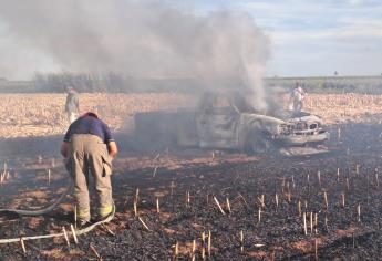 Se incendian 60 hectáreas de maíz por quema de maleza en Mocorito