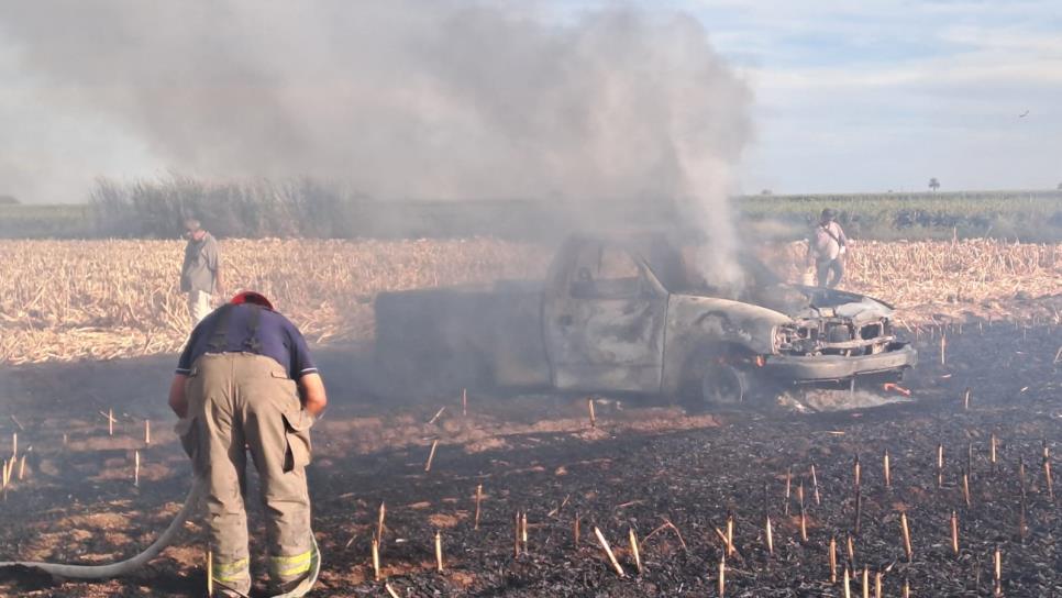 Se incendian 60 hectáreas de maíz por quema de maleza en Mocorito