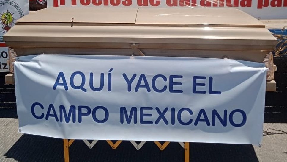 Productores de 21 estados realizarán su propia «Mañanera» en CDMX 