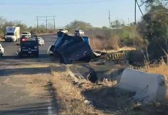 Trailero vuelca, derriba un panal y lo atacan las abejas, en la «Curva del Canalero», Guamúchil