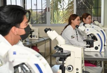 Avanza la UAS con paso firme en investigación y generación de conocimiento