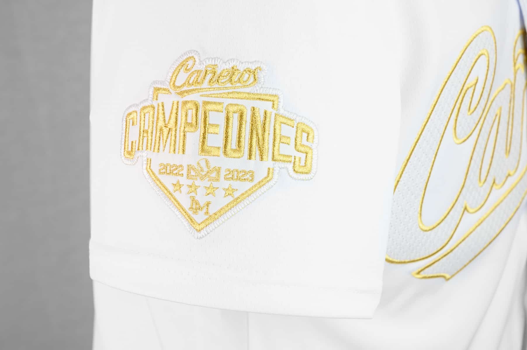 Esta es la nueva piel de Cañeros de Los Mochis. FOTOS: Andrey Fuentes