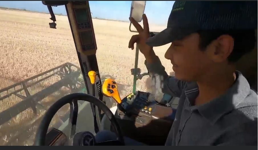 VIDEO | Jorge, el niño que conduce una trilladora en el sur de Sonora