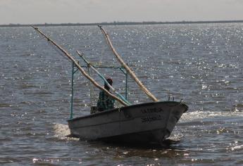 Topolobampo, zona de más pesca furtiva de camarón: Secretaría de Pesca