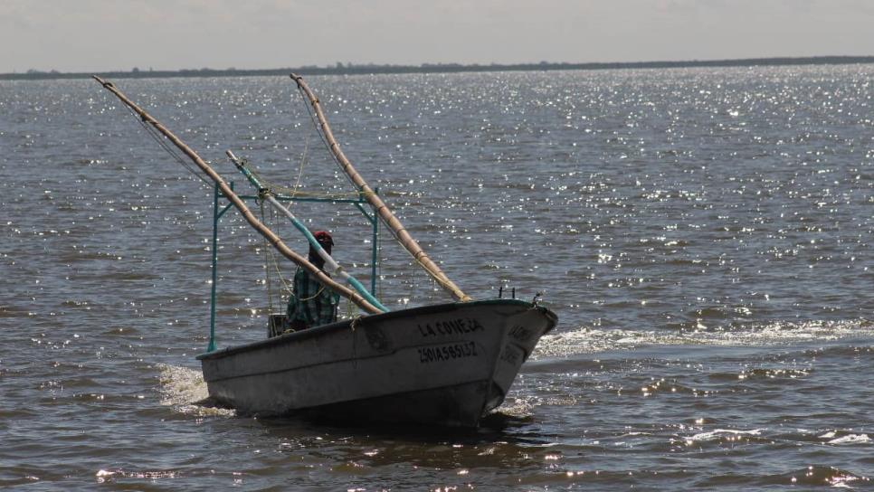 Topolobampo, zona de más pesca furtiva de camarón: Secretaría de Pesca