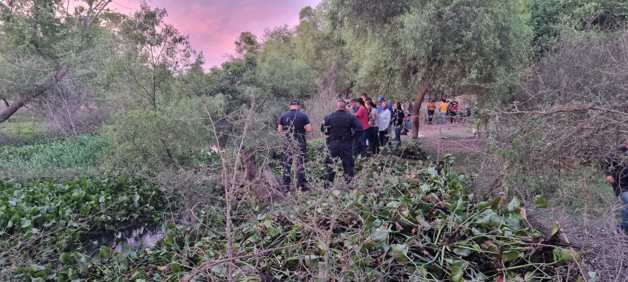 Imagen Placeholder Imagen Placeholder