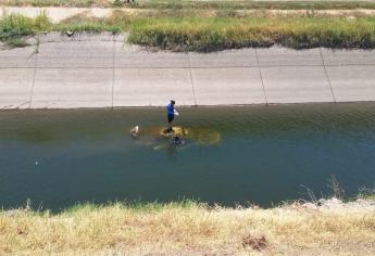 Hallan un Mercedes Benz con reporte de robo bajo el agua del canal Humaya en Culiacán