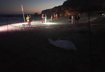 Ignora las señales de peligro, se mete a nadar y muere ahogado en Playas Brujas, Mazatlán 