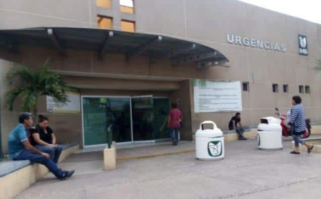 Tras las picaduras, la víctima sufrió un paro cardiaco. FOTO: Luz Noticias