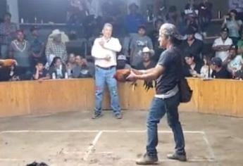 Balacera en palenque de gallos clandestino deja 3 muertos y 4 lesionados en Guanajuato | VIDEO