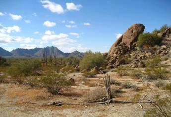 El lugar más caluroso del mundo se encuentra en México, muy cerca de Sinaloa