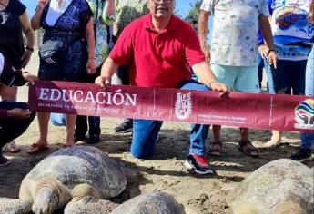 Sinaloenses liberan tortugas en Guasave con el programa turístico «Descubre Sinaloa»