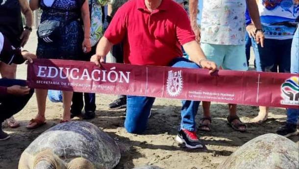 Sinaloenses liberan tortugas en Guasave con el programa turístico «Descubre Sinaloa»