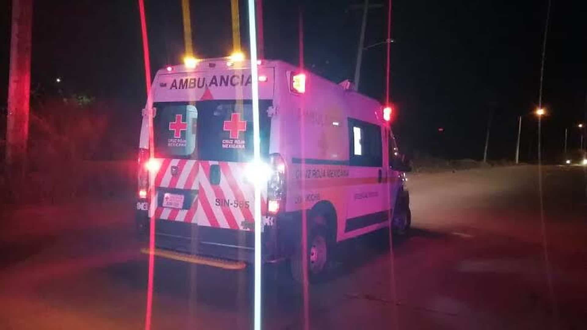 FOTO: Temática | Luz Noticias.
