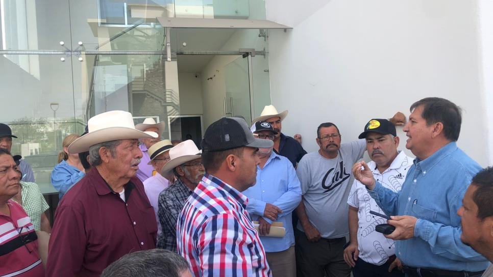 Trigueros de Sinaloa no han recibido ningún apoyo 