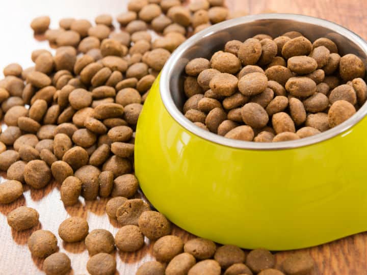 Las croquetas son fundamentales para que tu perro esté sano y fuerte. FOTO: Internet