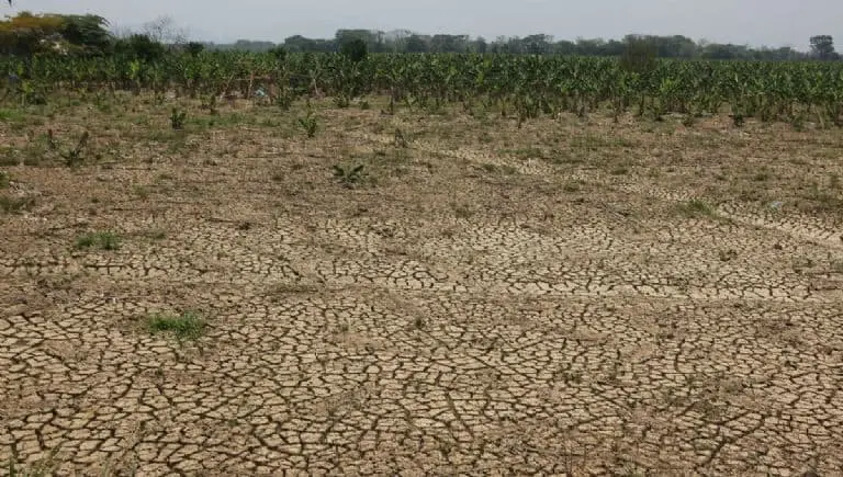 FOTO: Temática | Cuartoscuro.