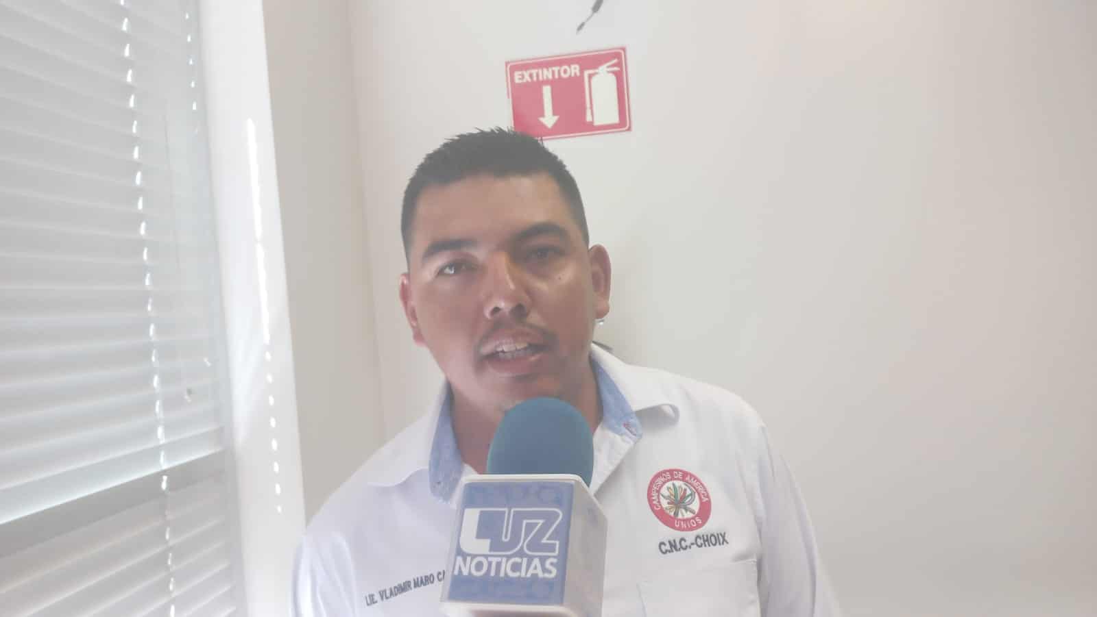 Se establecerán alrededor de 10 mil hectáreas. FOTO: Luz Noticias