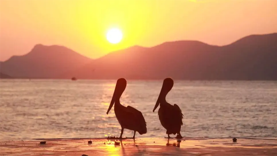 Hoy miércoles 21 de junio es el día más largo del año.