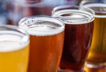 ¿Ya probaste la cerveza artesanal a base de insectos?