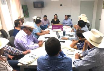 Productores de maíz y Gobierno de Sinaloa instalan la primera mesa técnica de trabajo 