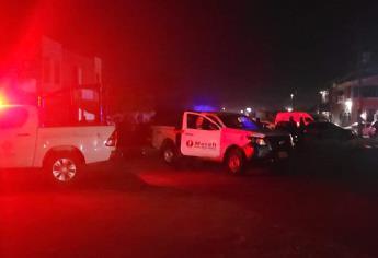 Adulto mayor muere tras ser atacado por abejas El Chamizal, en Los Mochis