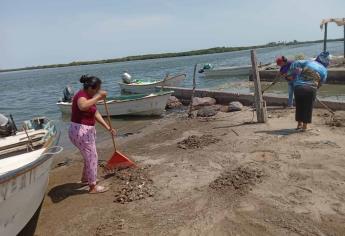 Ayuntamiento de Navolato limpia las playas de Yameto por presencia de peces muertos