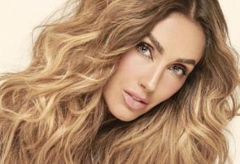 Anahí sufre accidente; su esposo Manuel Velasco suspende actividades